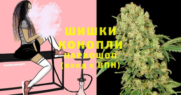 дурь Осинники