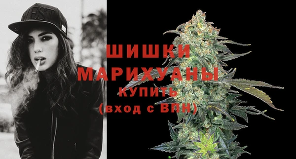 дурь Осинники