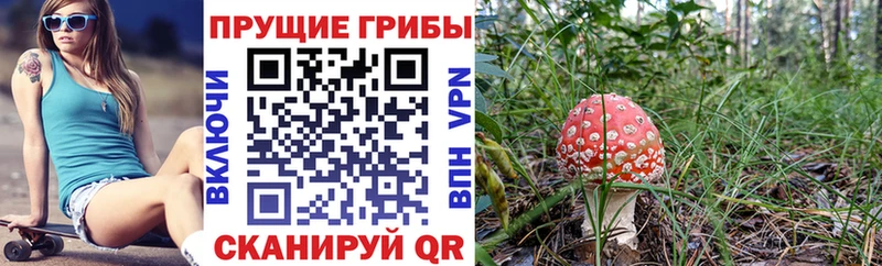 Псилоцибиновые грибы ЛСД  Калач 