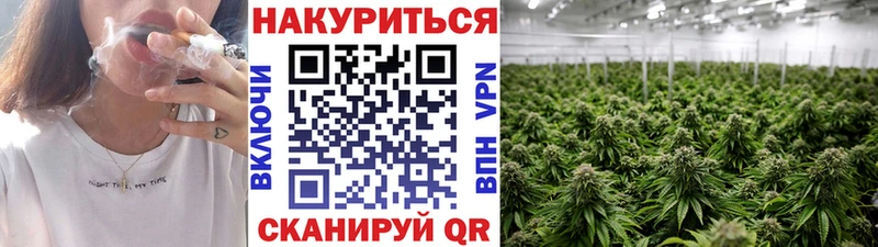 Бошки Шишки план  hydra   Калач  наркотики 